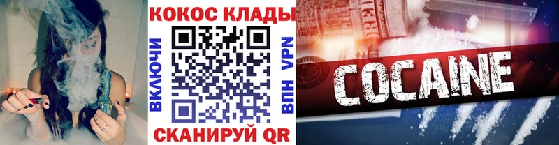 закладки  Железногорск-Илимский  кракен ССЫЛКА  COCAIN Fish Scale 