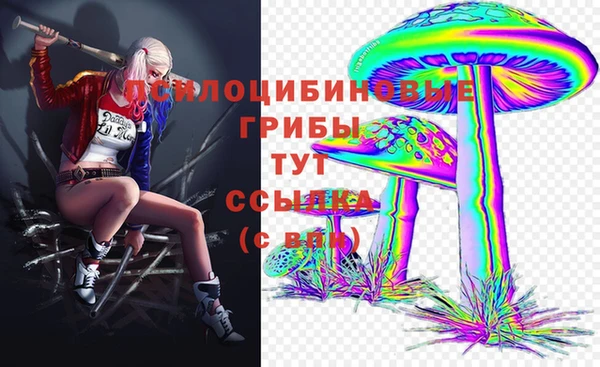 spice Алексеевка