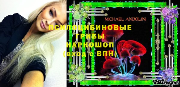 метадон Алексин