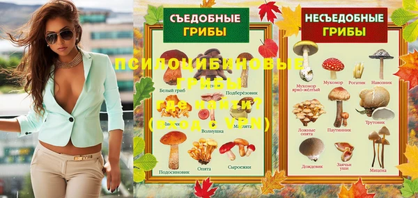 тгк Алзамай