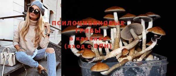 spice Алексеевка