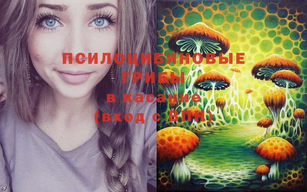 тгк Алзамай