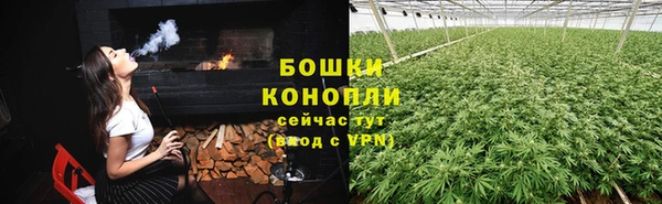 spice Алексеевка