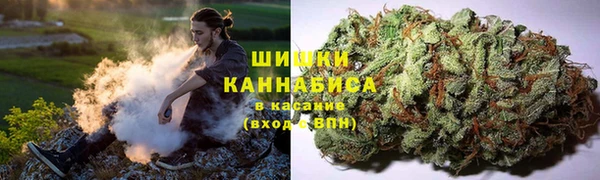 ПСИЛОЦИБИНОВЫЕ ГРИБЫ Абинск