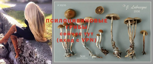 тгк Алзамай